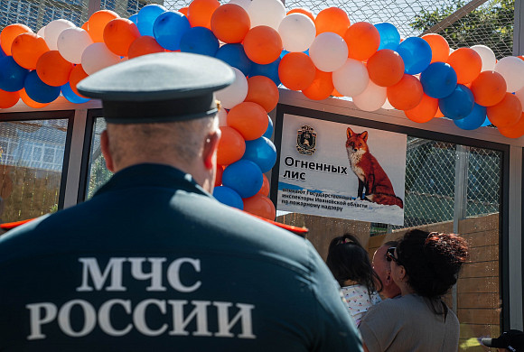 Огненные лисы отметили новоселье в Ивановском зоопарке